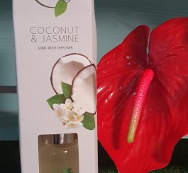 Coconut And Jasmine Reed Diffuser With Reeds 50ml