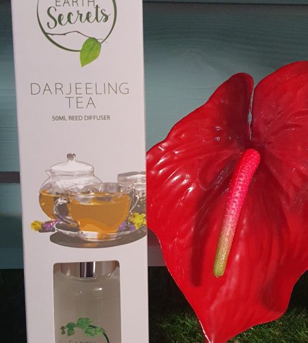 Darjeeling Tea Reed Diffuser With Reeds 50ml