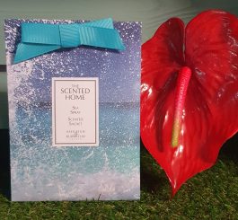 Sea Spray Scented Sachet With Hanging Ribbon