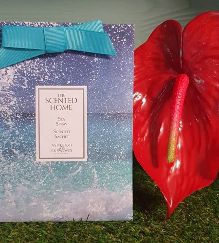 Sea Spray Scented Sachet With Hanging Ribbon